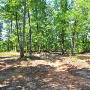 Photo #7 of 364 Community Road, Dillwyn, VA 3.7 acres