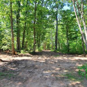 Photo #10 of 364 Community Road, Dillwyn, VA 3.7 acres