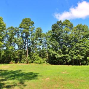 Photo #9 of 364 Community Road, Dillwyn, VA 3.7 acres