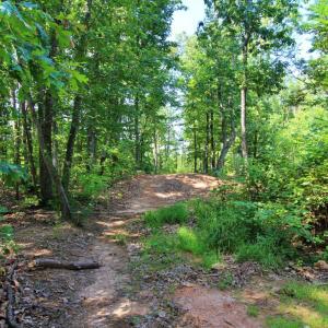 Photo #8 of 364 Community Road, Dillwyn, VA 3.7 acres