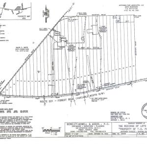 Plat / Survey - 16380 Forest Rd