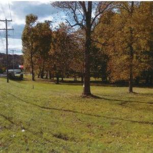 Street View - 16380 Forest Rd