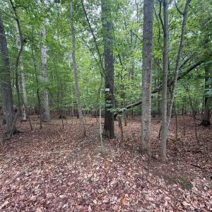 Photo #5 of 17 Saunders Point Road, Huddleston, VA 0.7 acres