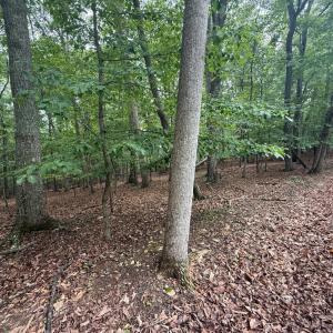 Photo #2 of 17 Saunders Point Road, Huddleston, VA 0.7 acres