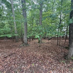 Photo #1 of 17 Saunders Point Road, Huddleston, VA 0.7 acres