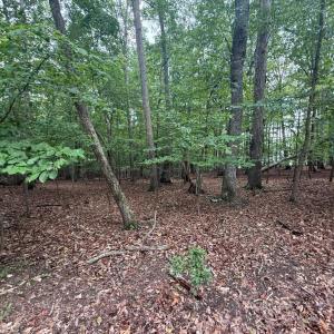 Photo #3 of 17 Saunders Point Road, Huddleston, VA 0.7 acres