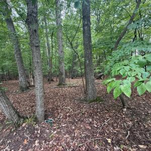 Photo #4 of 17 Saunders Point Road, Huddleston, VA 0.7 acres