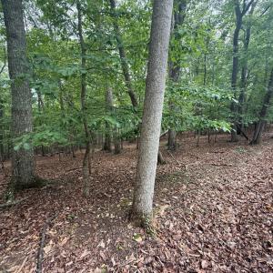 Photo #5 of 18 Saunders Point Road, Huddleston, VA 0.5 acres
