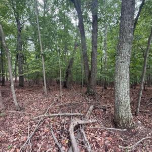 Photo #4 of 18 Saunders Point Road, Huddleston, VA 0.5 acres