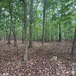 Photo #2 of 18 Saunders Point Road, Huddleston, VA 0.5 acres