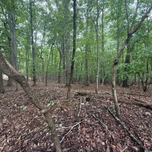 Photo #3 of 18 Saunders Point Road, Huddleston, VA 0.5 acres