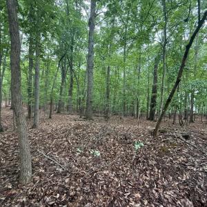 Photo #1 of 18 Saunders Point Road, Huddleston, VA 0.5 acres