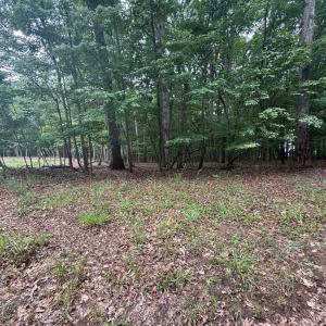 Photo #2 of 19 Saunders Point Road, Huddleston, VA 0.6 acres