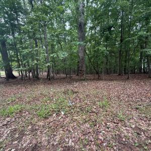 Photo #3 of 19 Saunders Point Road, Huddleston, VA 0.6 acres