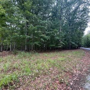 Photo #1 of 19 Saunders Point Road, Huddleston, VA 0.6 acres