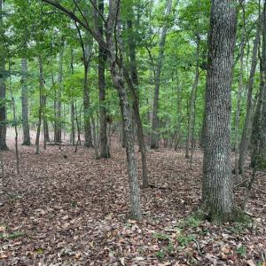 Photo #5 of 19 Saunders Point Road, Huddleston, VA 0.6 acres