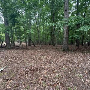 Photo #4 of 19 Saunders Point Road, Huddleston, VA 0.6 acres