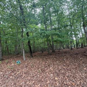 Photo #4 of 23 Lee Drive, Huddleston, VA 0.5 acres