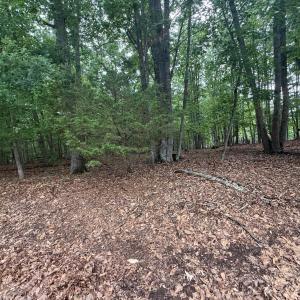 Photo #2 of 23 Lee Drive, Huddleston, VA 0.5 acres