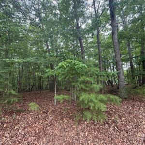 Photo #5 of 23 Lee Drive, Huddleston, VA 0.5 acres