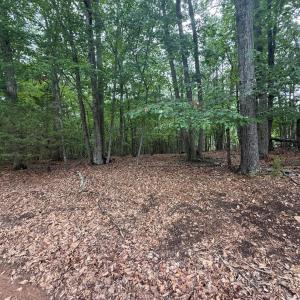 Photo #1 of 23 Lee Drive, Huddleston, VA 0.5 acres