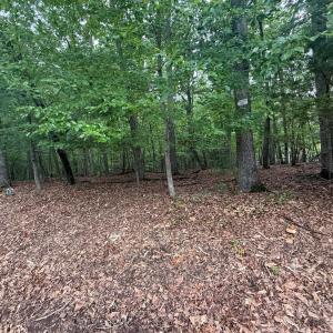 Photo #3 of 23 Lee Drive, Huddleston, VA 0.5 acres