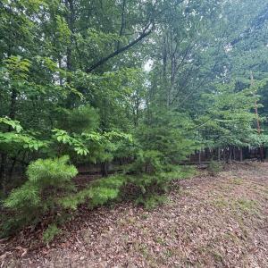 Photo #5 of 24 Lee Drive, Huddleston, VA 0.5 acres