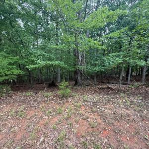 Photo #4 of 24 Lee Drive, Huddleston, VA 0.5 acres