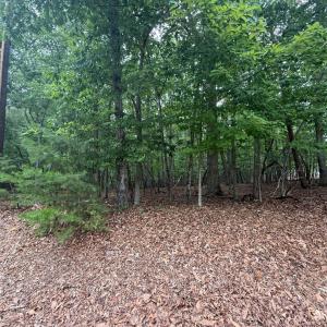 Photo #3 of 24 Lee Drive, Huddleston, VA 0.5 acres