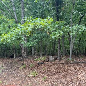 Photo #1 of 24 Lee Drive, Huddleston, VA 0.5 acres