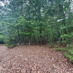 Photo #2 of 24 Lee Drive, Huddleston, VA 0.5 acres