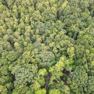 Photo #19 of Leesville Lake Drive, Pittsville, VA 5.6 acres