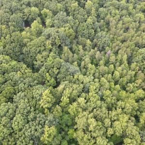 Photo #20 of Leesville Lake Drive, Pittsville, VA 5.6 acres