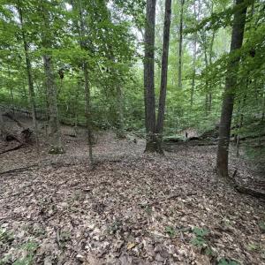 Photo #12 of Leesville Lake Drive, Pittsville, VA 5.6 acres