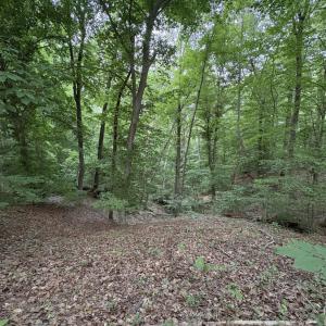 Photo #7 of Leesville Lake Drive, Pittsville, VA 5.6 acres