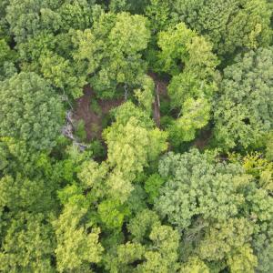 Photo #21 of Leesville Lake Drive, Pittsville, VA 5.6 acres