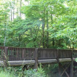 Photo #11 of 305 Runaway Bay Road, Lynch Station, VA 5.3 acres