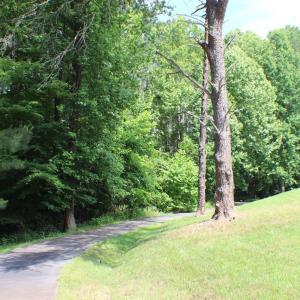 Photo #13 of 305 Runaway Bay Road, Lynch Station, VA 5.3 acres
