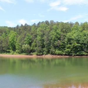 Photo #23 of 305 Runaway Bay Road, Lynch Station, VA 5.3 acres