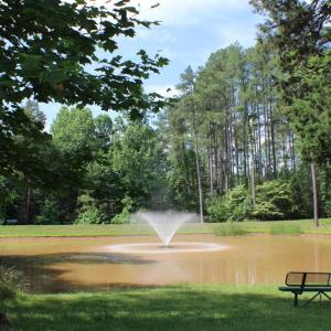 Photo #12 of 305 Runaway Bay Road, Lynch Station, VA 5.3 acres