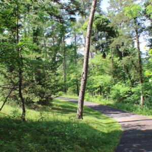 Photo #14 of 305 Runaway Bay Road, Lynch Station, VA 5.3 acres