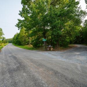 Photo #6 of Wyatt Miles Road, Gladys, VA 25.0 acres