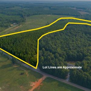 Photo #15 of Wyatt Miles Road, Gladys, VA 25.0 acres