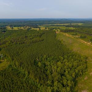 Photo #10 of Wyatt Miles Road, Gladys, VA 25.0 acres