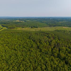 Photo #12 of Wyatt Miles Road, Gladys, VA 25.0 acres