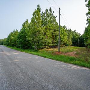 Photo #5 of Wyatt Miles Road, Gladys, VA 25.0 acres