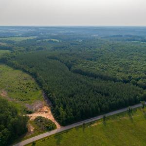 Photo #1 of Wyatt Miles Road, Gladys, VA 25.0 acres
