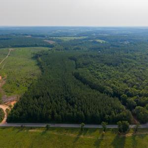 Photo #14 of Wyatt Miles Road, Gladys, VA 25.0 acres