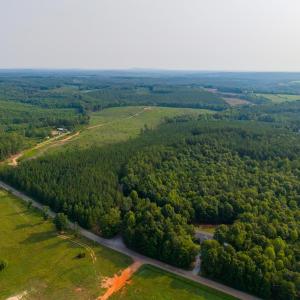 Photo #13 of Wyatt Miles Road, Gladys, VA 25.0 acres