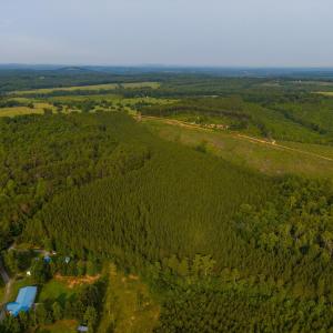 Photo #11 of Wyatt Miles Road, Gladys, VA 25.0 acres
